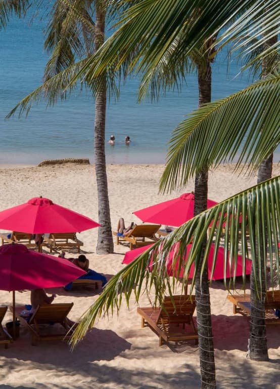 Tahiti Resort - photo 23
