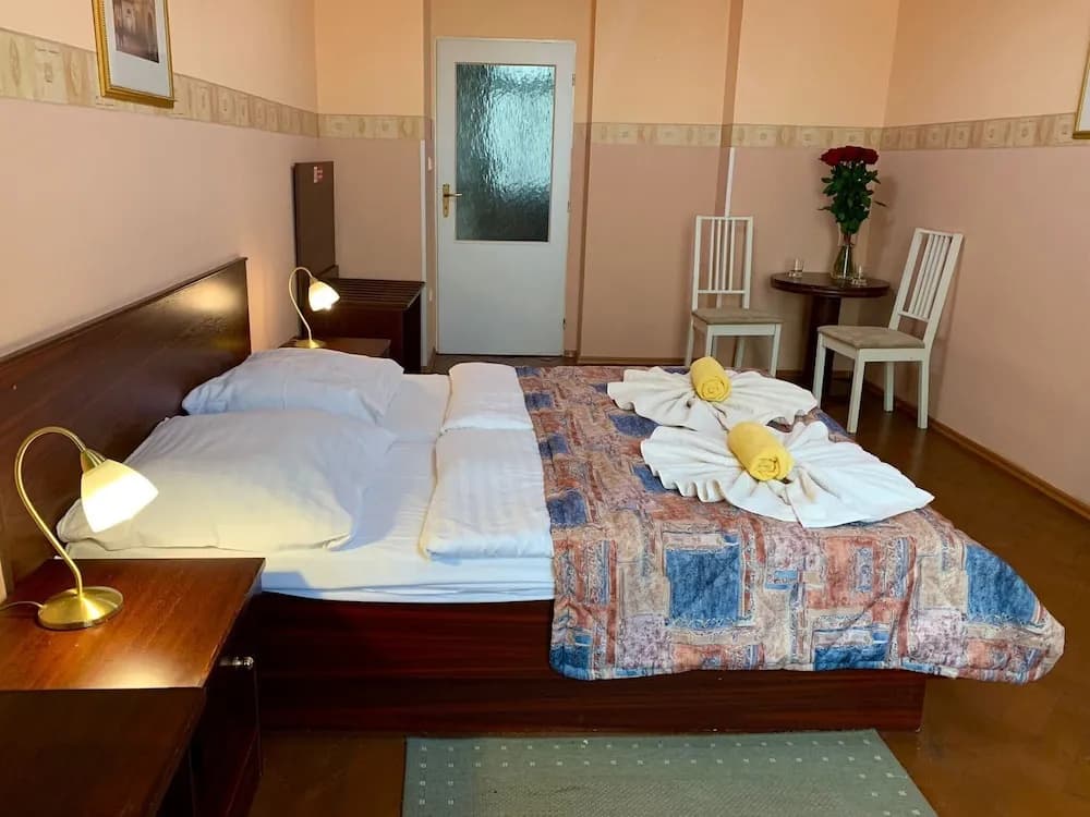 Hotel Victor - photo 2