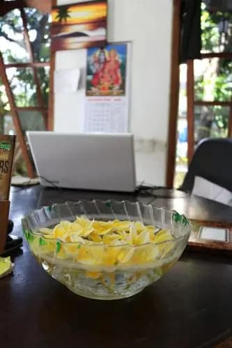 Beachbums Berawa Hostel - photo 8