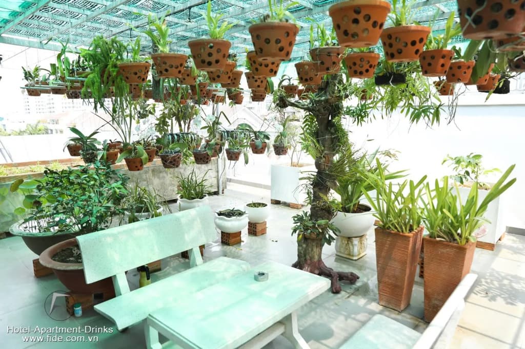Fide Hotel - photo 14
