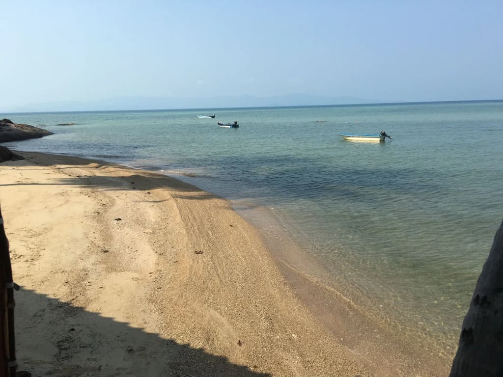 Blue Lotus Resort - photo 14