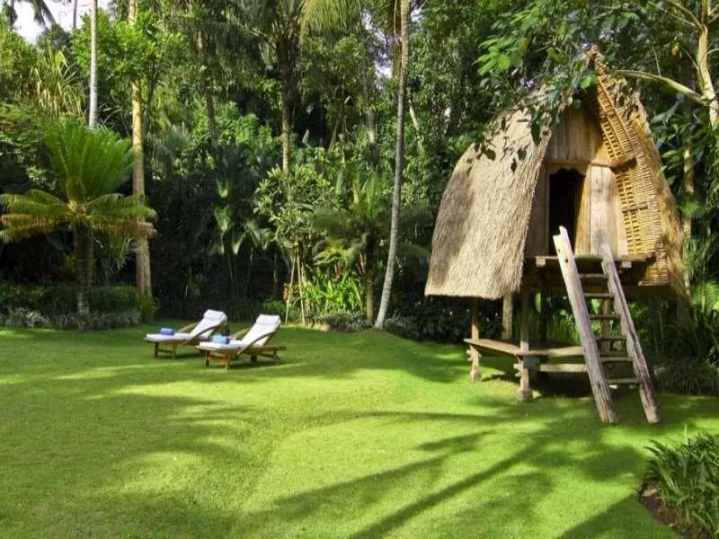 The Lotus Residence - photo 6
