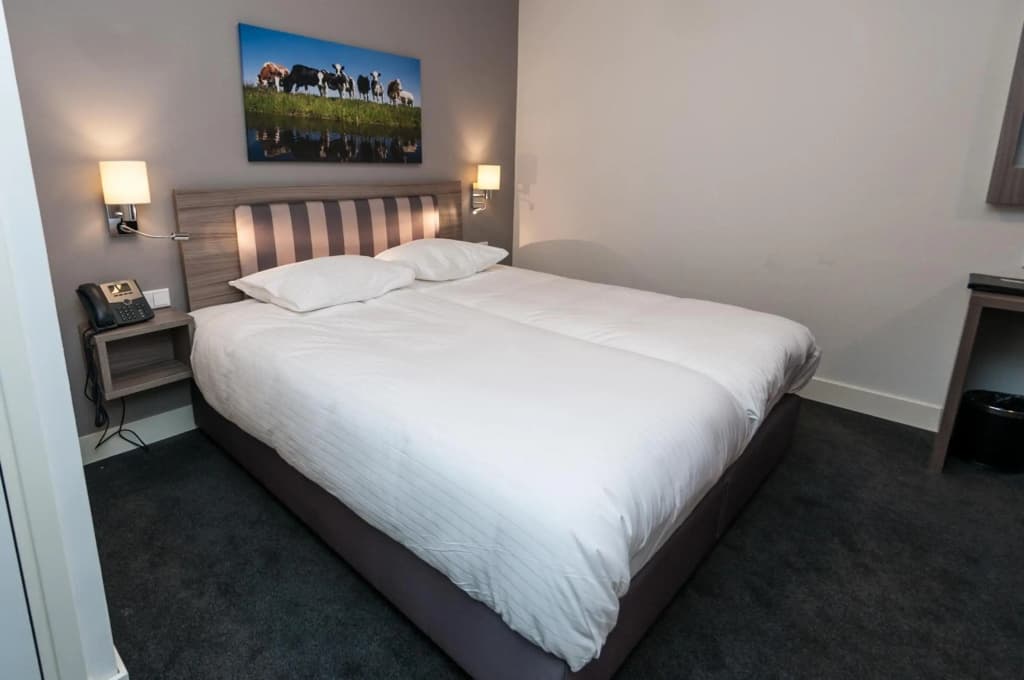 Hotel Fine Harmony - photo 3