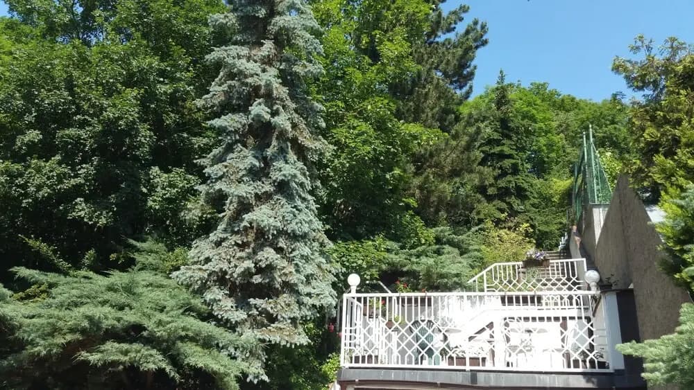 Pension Kern - photo 18