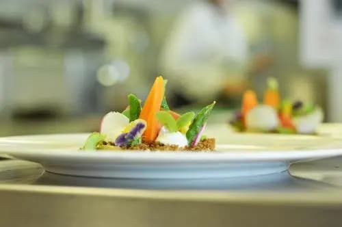 Skotel Amsterdam, Hotelschool The Hague - photo 10