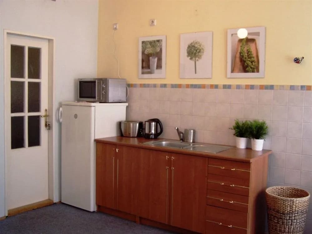 Platan pension - photo 14