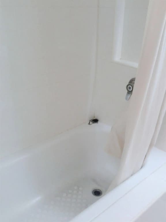 Pinnacle Dream - photo 5