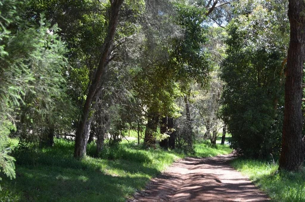 Twin Springs Bed & Breakfast - photo 16