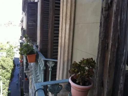 Pension Aris - photo 3
