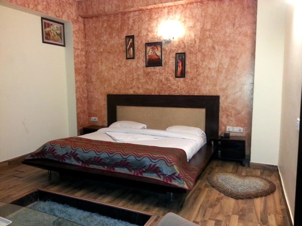 Hotel Mandakini Palace - photo 3