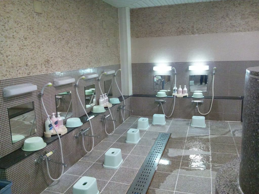 Tokyo Business Hotel - photo 10