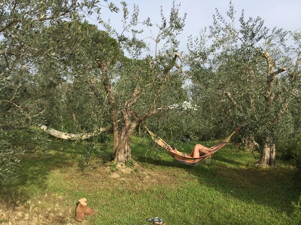 Tuscan Sun Villa - photo 15