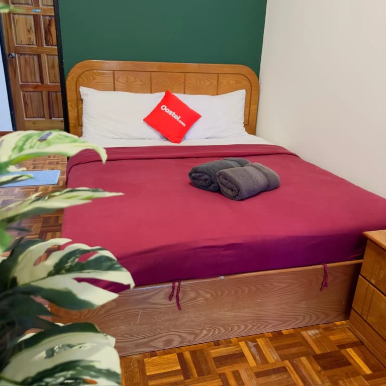 100 Backpackers Hostel - photo 2