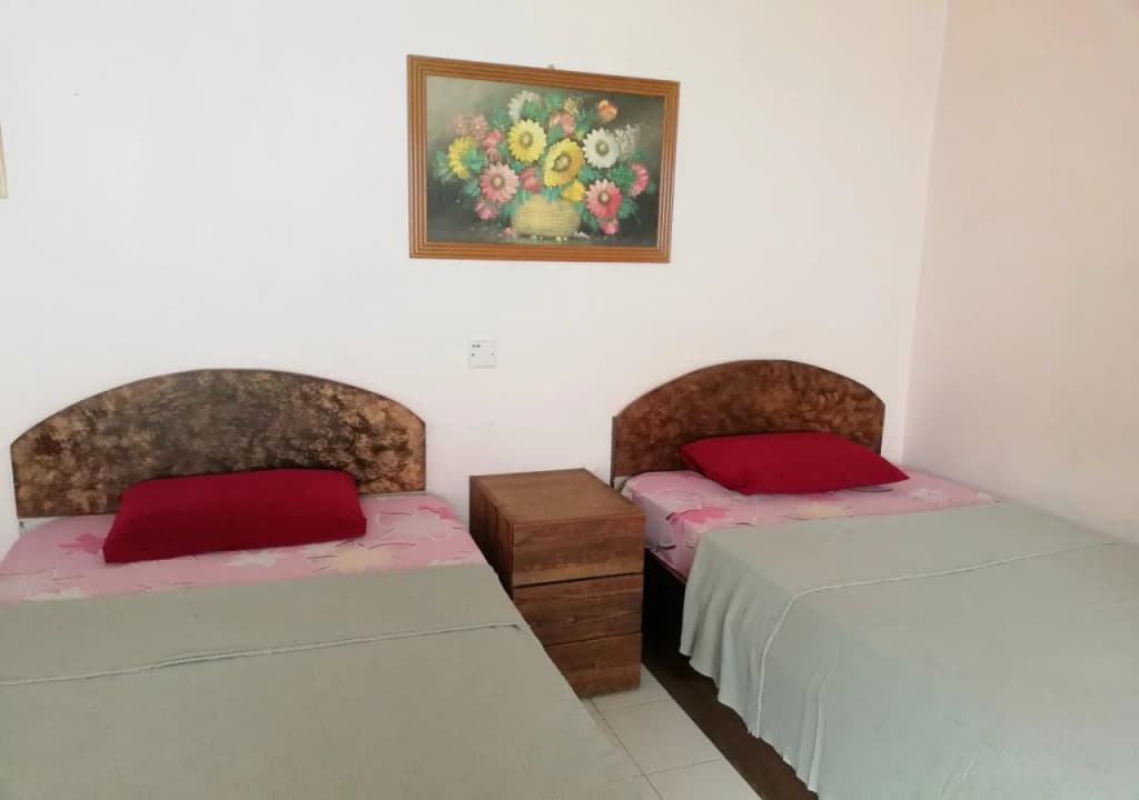 New Budget Inn Hotel - photo 6