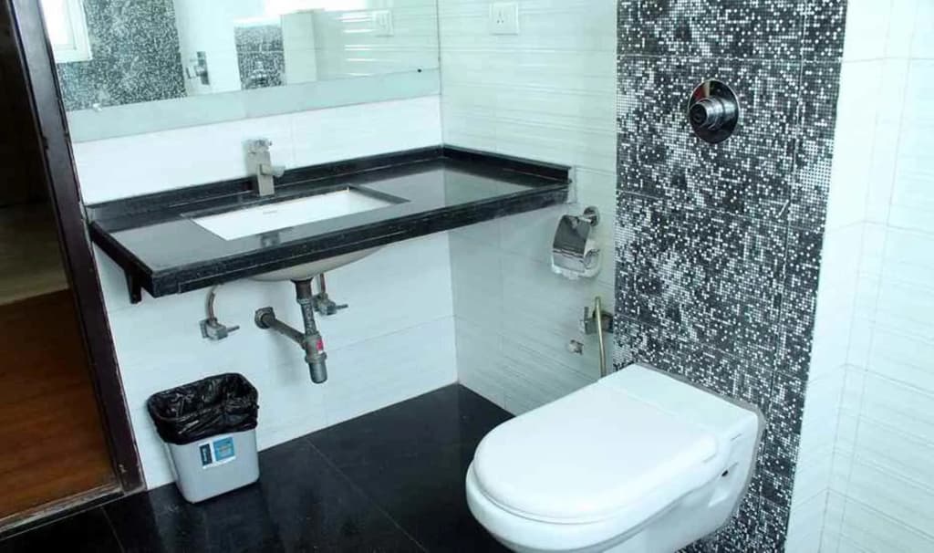 Hotel Lav-Kush - photo 8