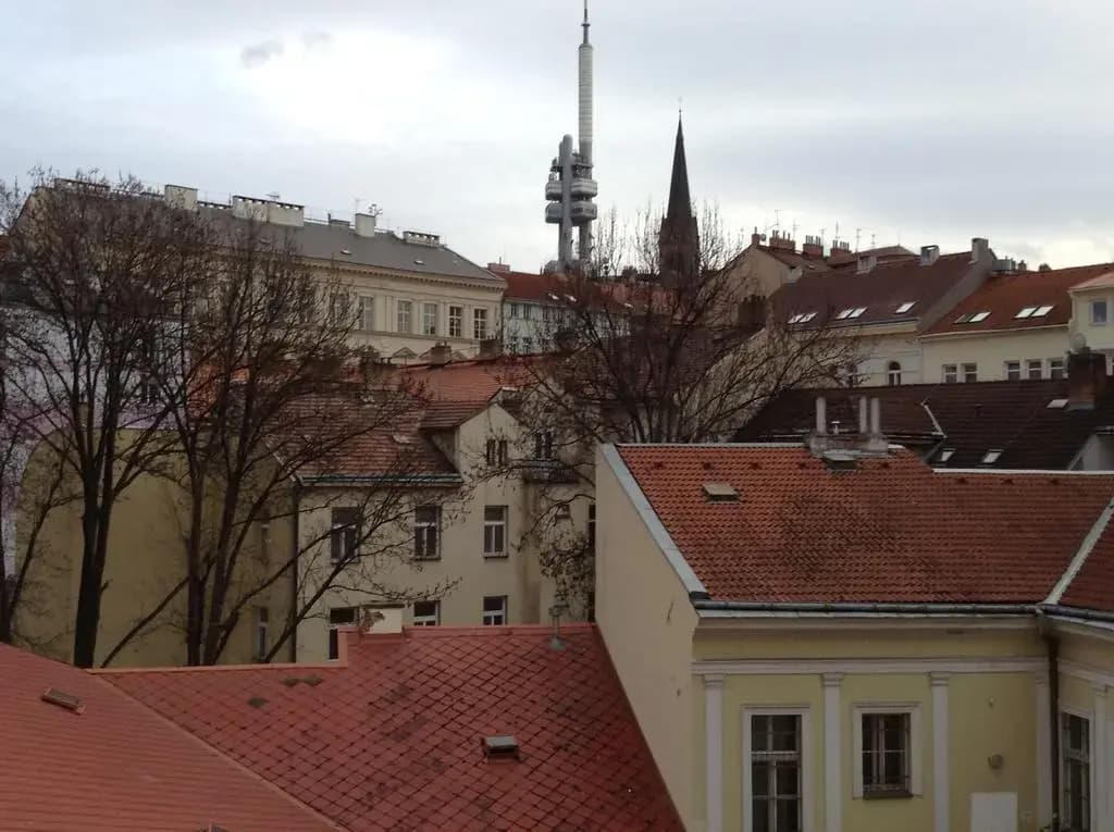 Victor Pivovar Hotel - photo 1