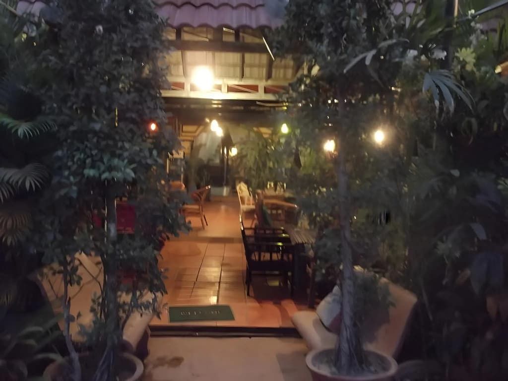 Victory Guesthouse - photo 9