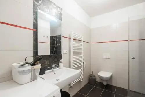 Kent Ridge Loft, Sokolska - photo 9