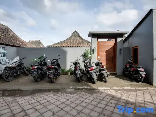 Turtle Villas Canggu - photo 18