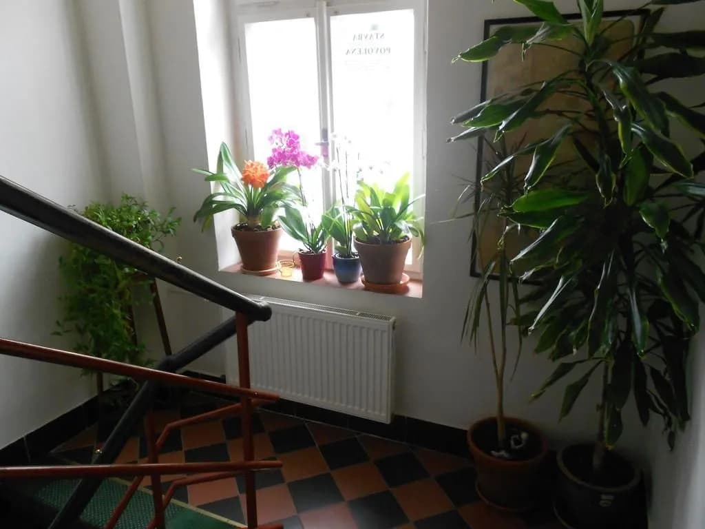 Vila Josefina - photo 10