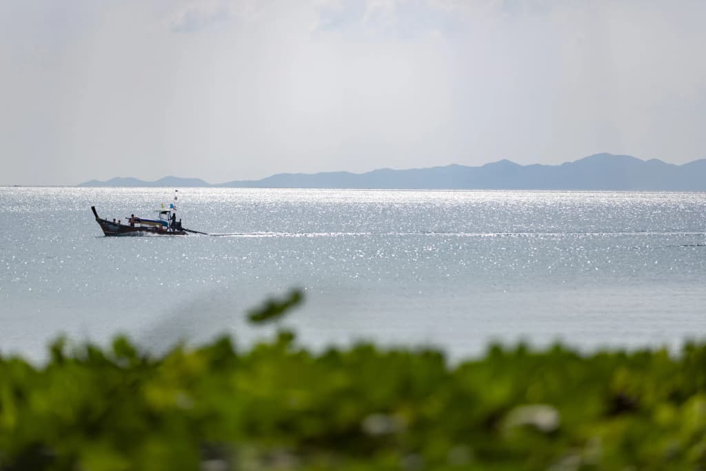Dusit Thani Krabi Beach Resort Hotel - photo 30