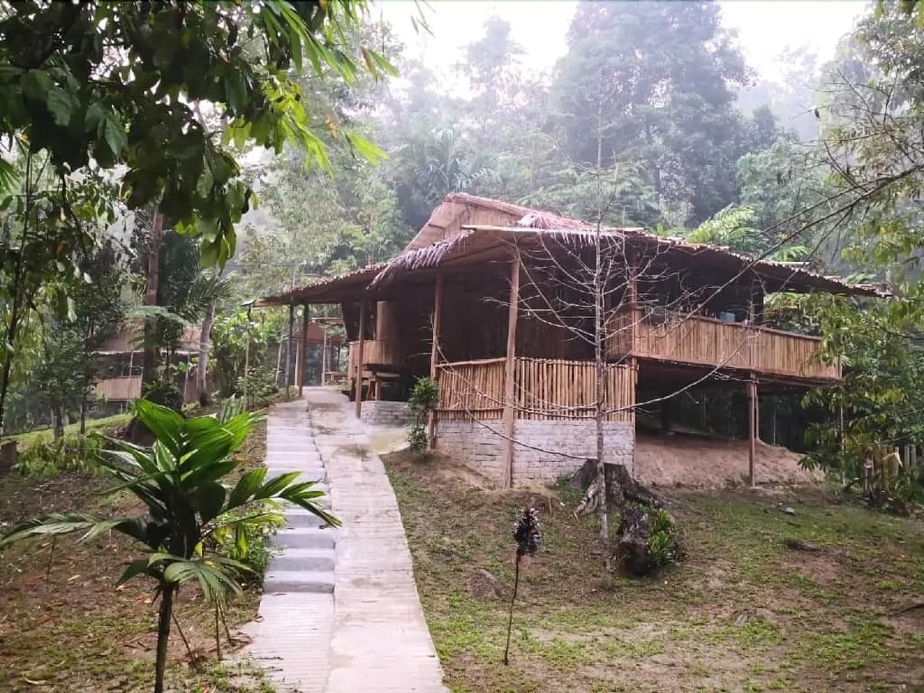 Rain Forest Inn - photo 18