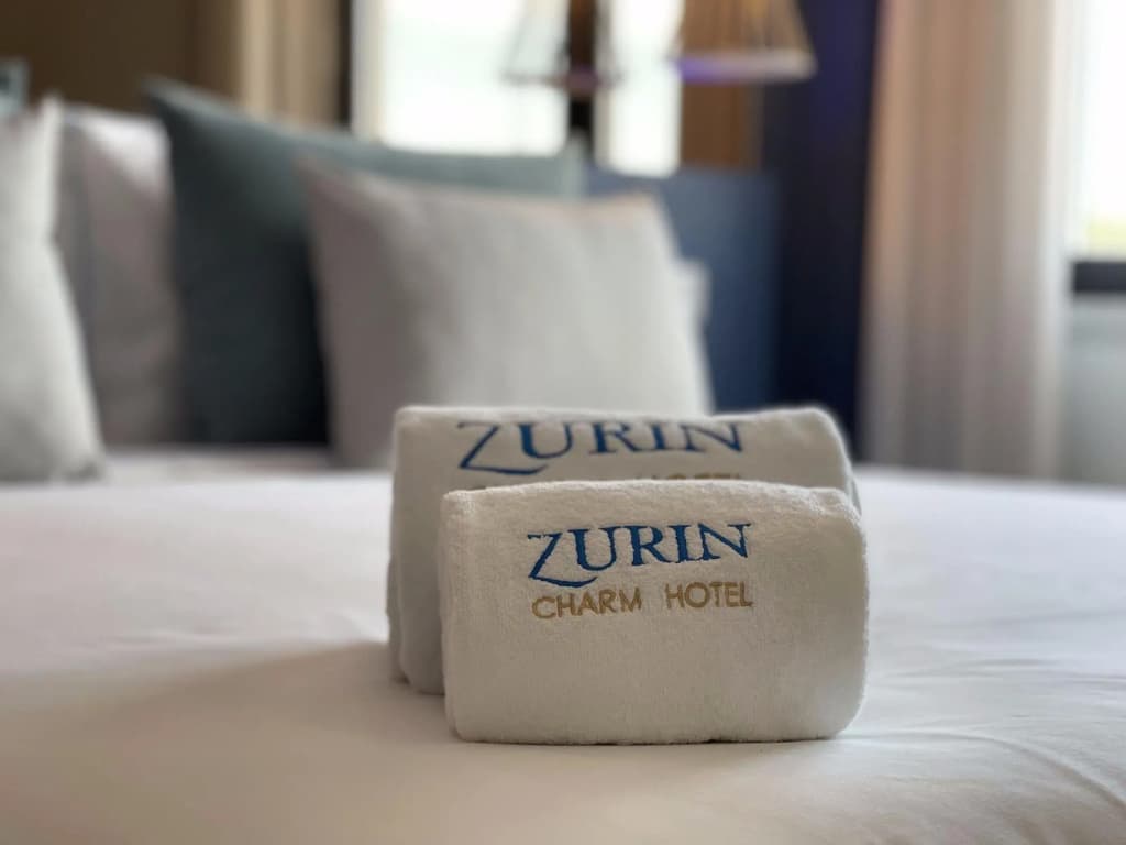 Zurin Charm Hotel - photo 3