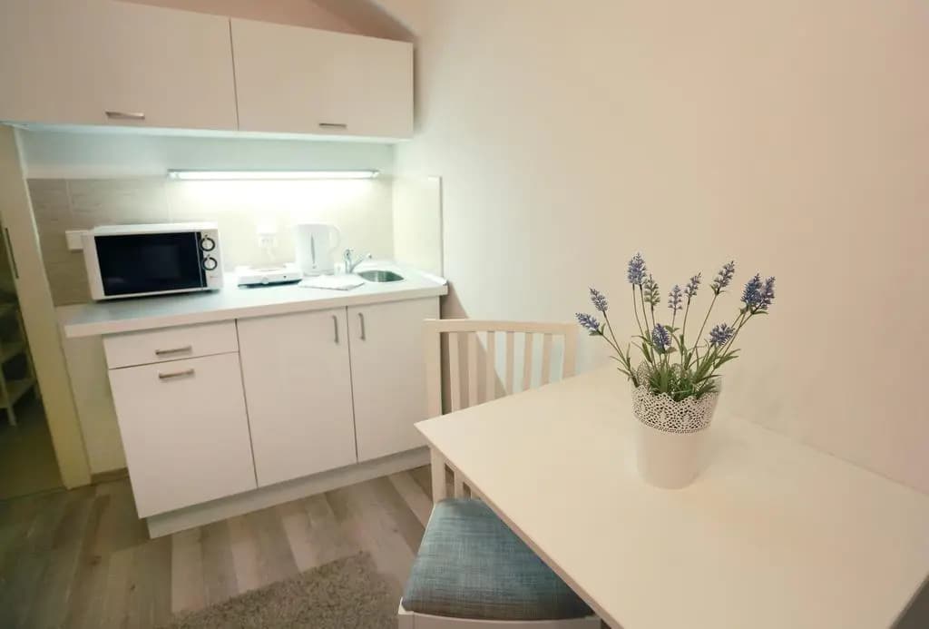 Apartments Pushkin - photo 9