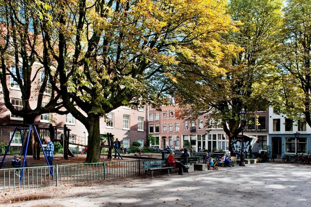 Goudbloemstraat Area Apartments - photo 16