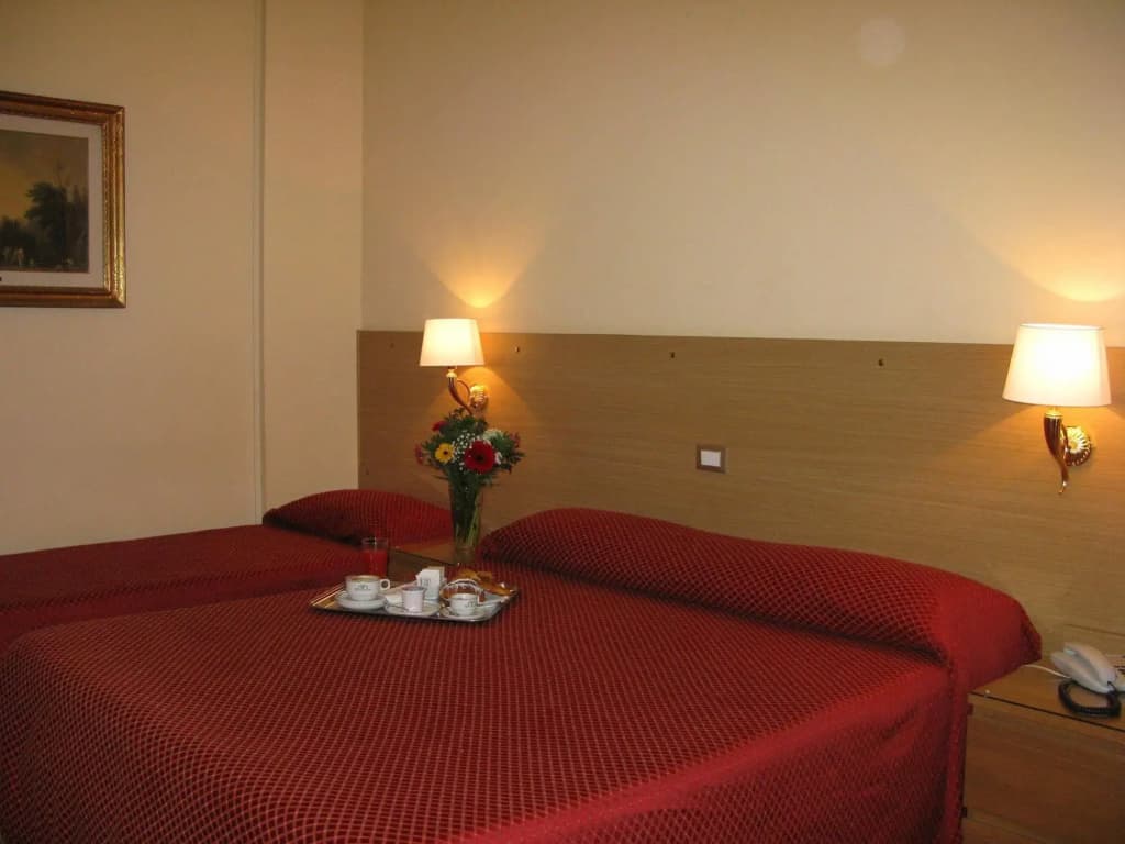 York Hotel - photo 4