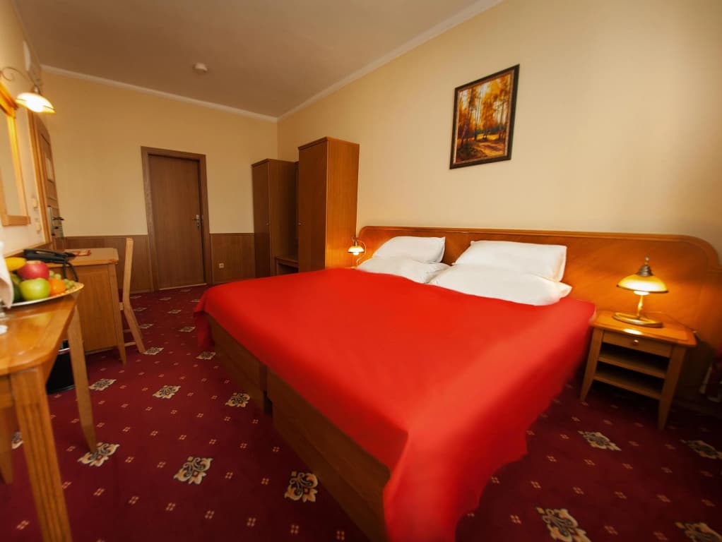 Hotel Askania - photo 3