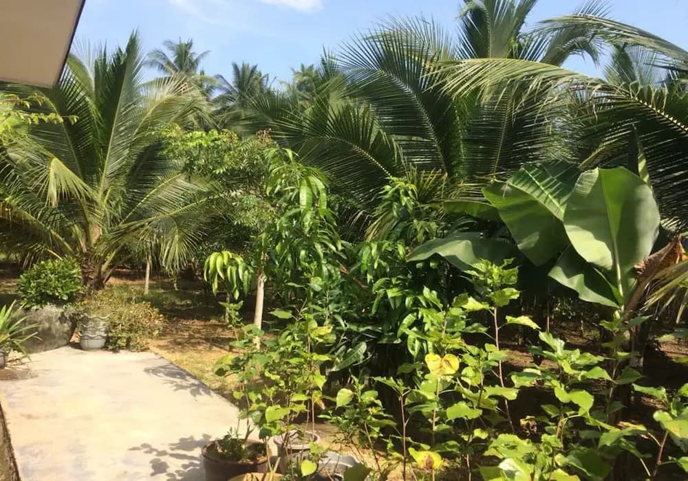 Kelulut Lodge - photo 12