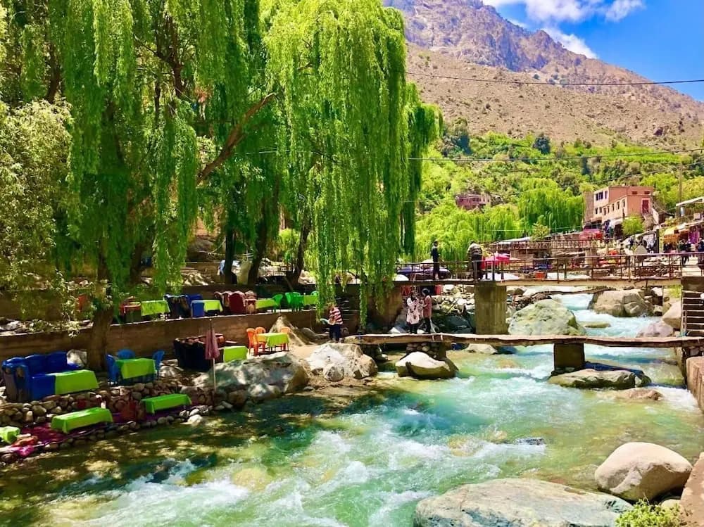 Dar Baddi - photo 10