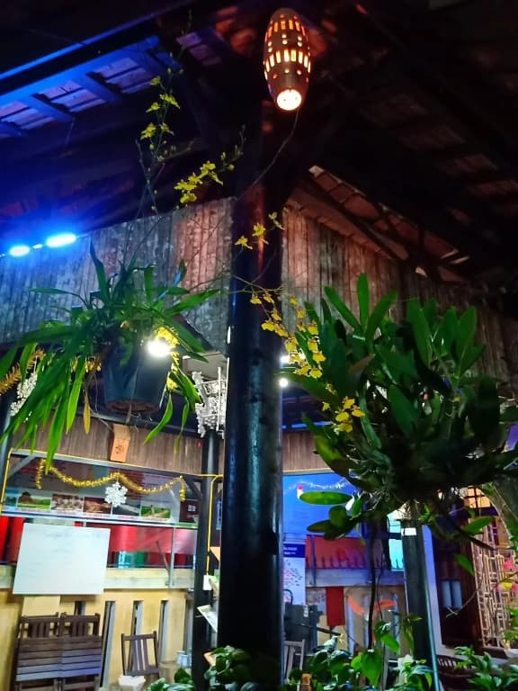 Terra Cotta Homestay and Hostel - photo 26