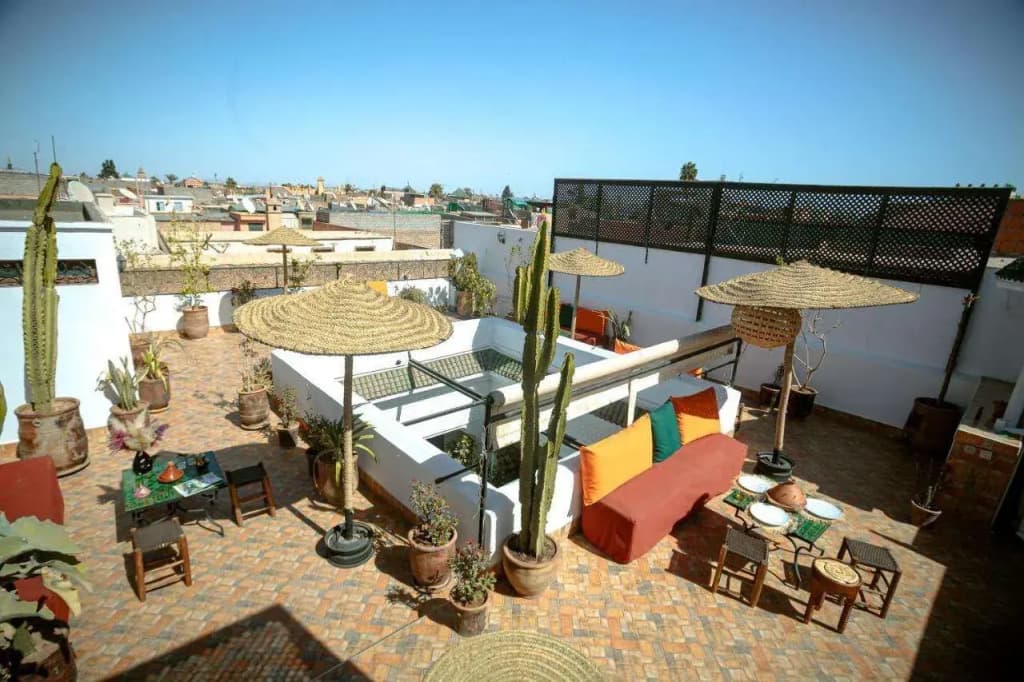 Riad Darino - photo 11