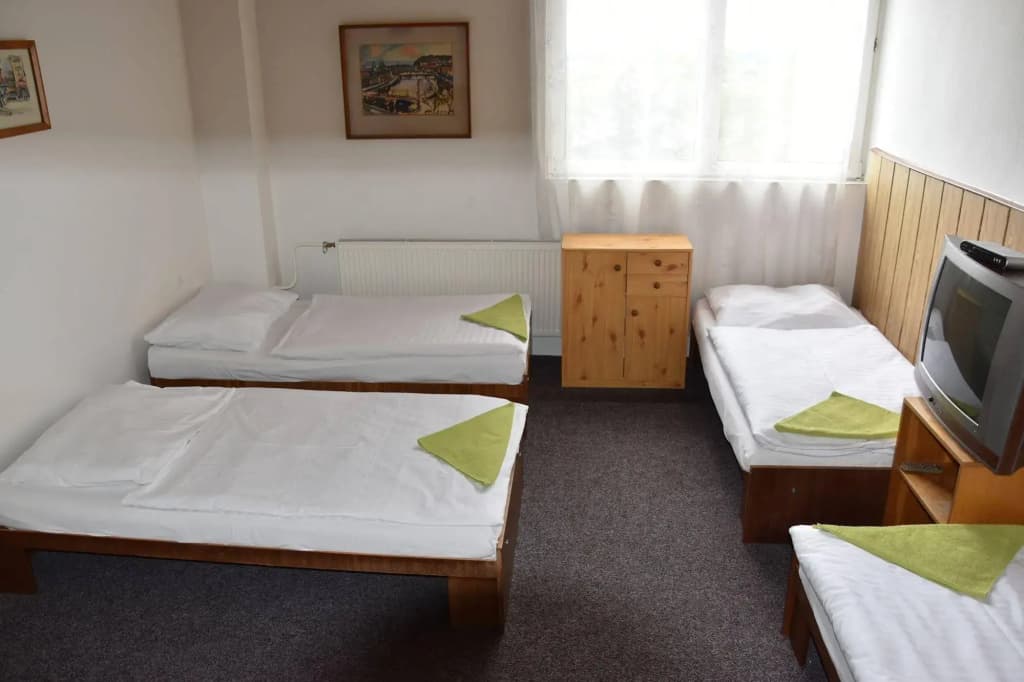 Hotel Alexander - photo 12