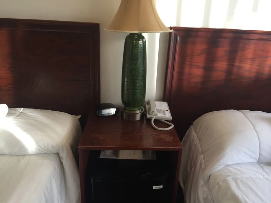 Park Plaza Lodge Hotel - photo 6