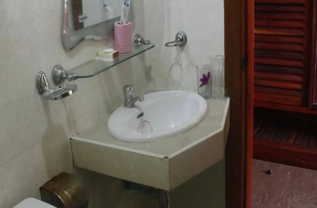 Rotha Guesthouse - photo 7