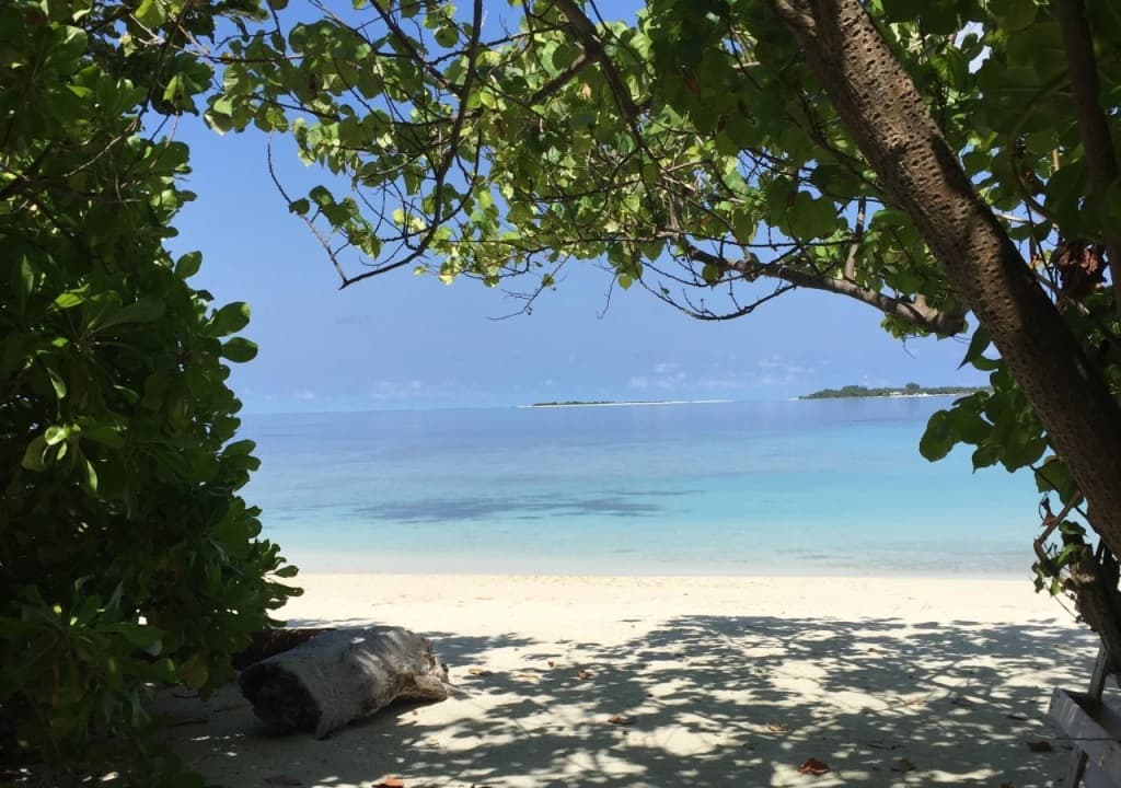 Casa Paguro Bodufolhudhoo - photo 12