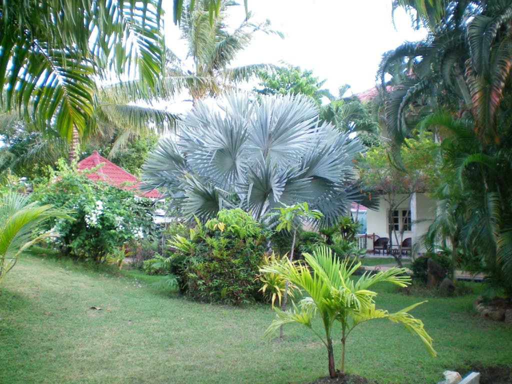 Patong Palace Hotel - photo 18