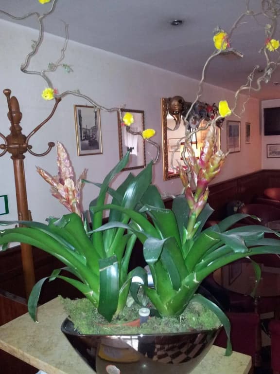 Hotel Regit - photo 2