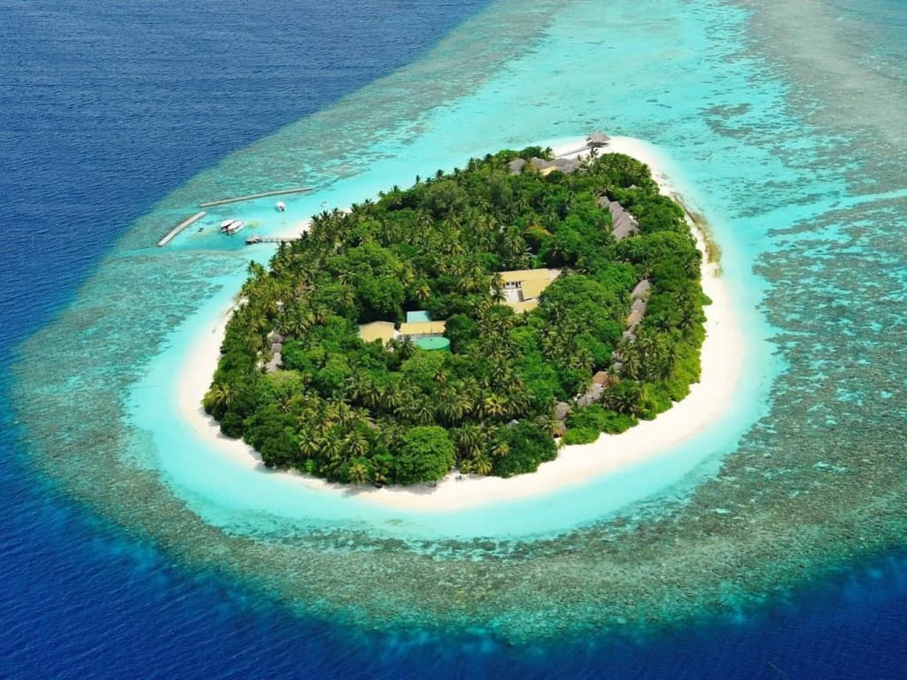 Madoogali Resort & Spa Maldives - photo 5