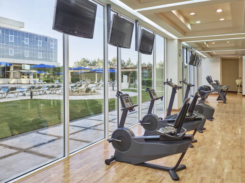 JW Marriott Hotel Cairo - photo 26