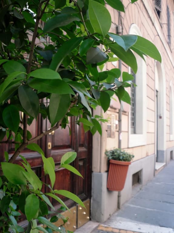 Castelfidardo - photo 12