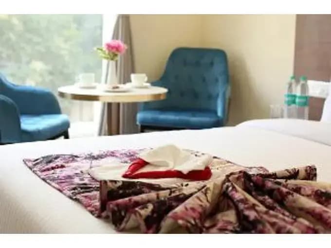 Hotel Luxe Opera NH8 – 7km from IGI Airport Delhi - photo 4