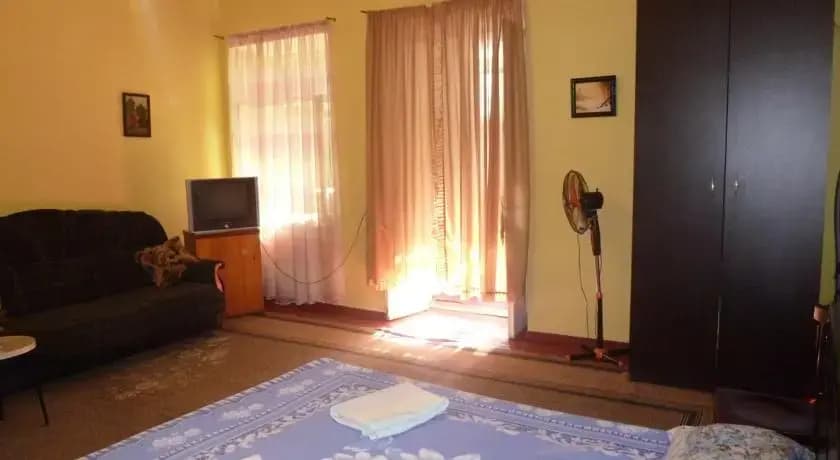 Apartment Mziia - photo 4