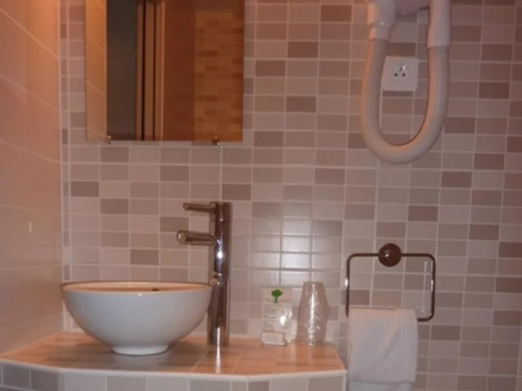 Hotel de la cité Rougemont - photo 9