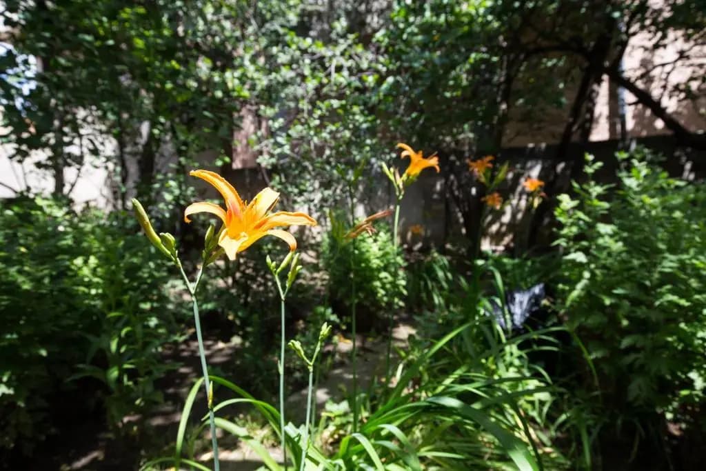 Mary's Apartment - photo 10