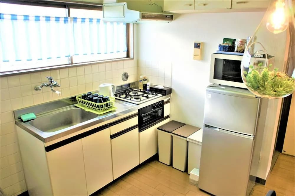 Spacious Apartment Sunshine City - photo 4