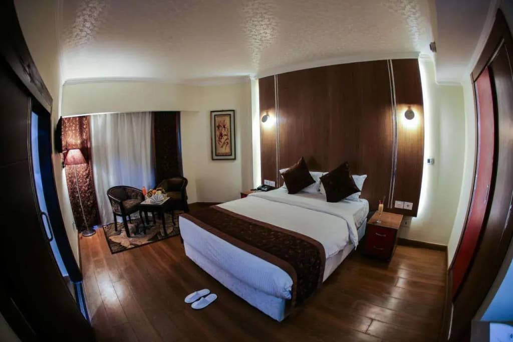 Tolip Inn Maadi - photo 20